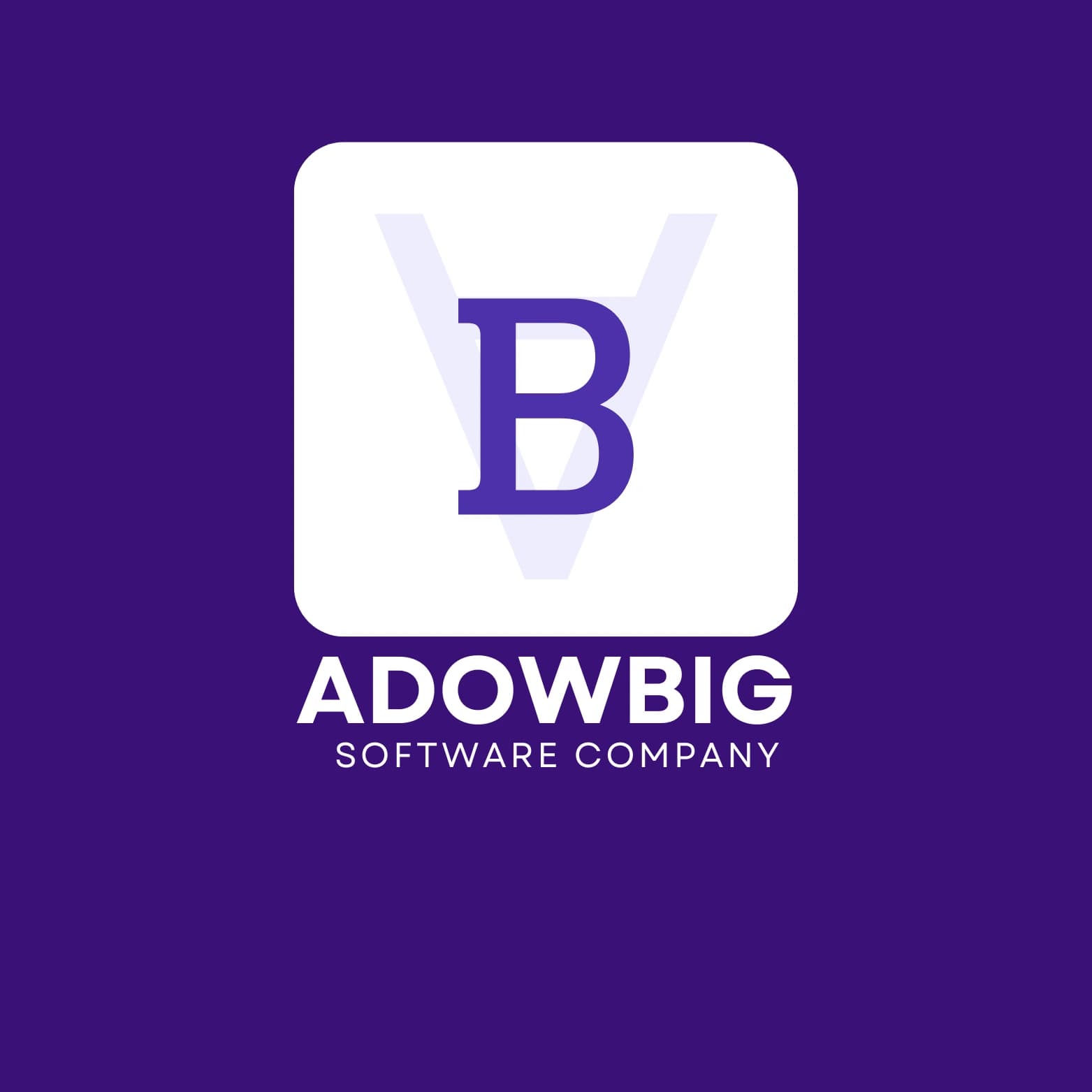 Adowbig Software Company