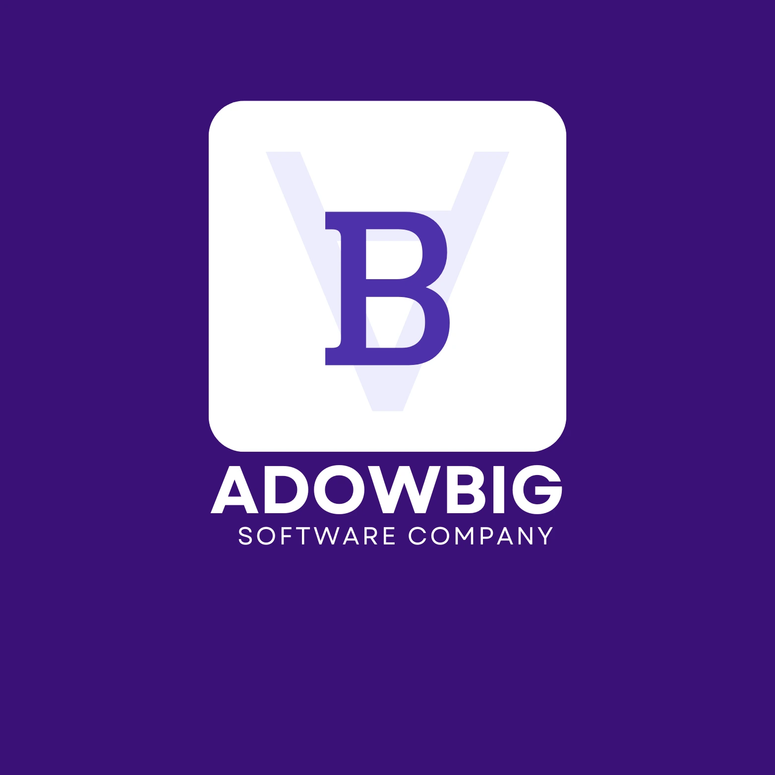 ทีมงาน Adowbig